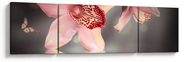 Obraz - Květy a motýl (170x50 cm)