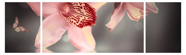 Obraz - Květy a motýl (170x50 cm)