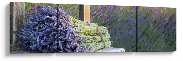 Obraz - Levandulové svazky (170x50 cm)