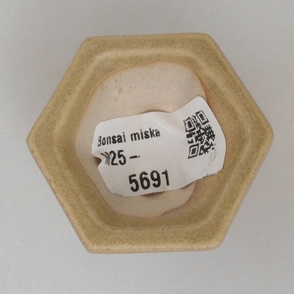 E-bonsai Mini bonsai miska 4,5 x 4,5 x 2,5 cm hnědá