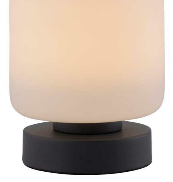 PAUL NEUHAUS LED stolní lampa antracit, kruhová, dotykový stmívač, nadčasový design 3000K