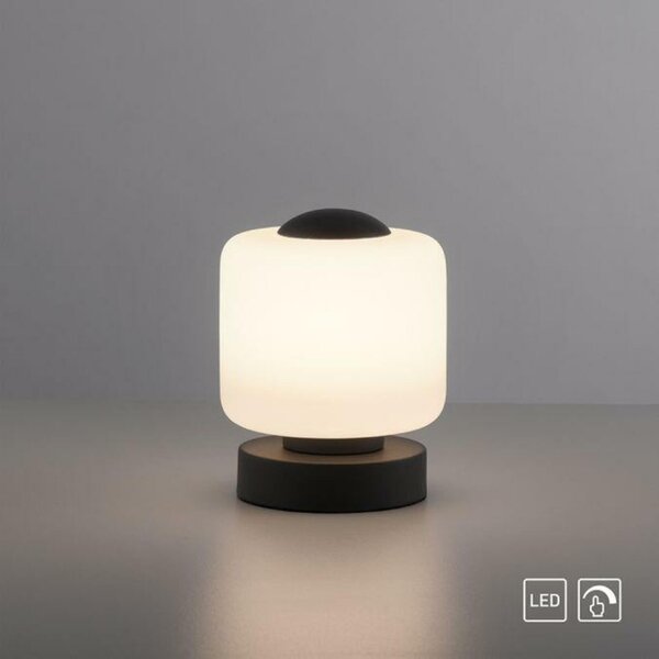 PAUL NEUHAUS LED stolní lampa antracit, kruhová, dotykový stmívač, nadčasový design 3000K