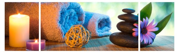 Obraz - Relaxační masérský obraz (170x50 cm)