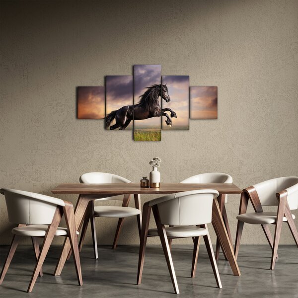 Obraz - Koně (125x70 cm)