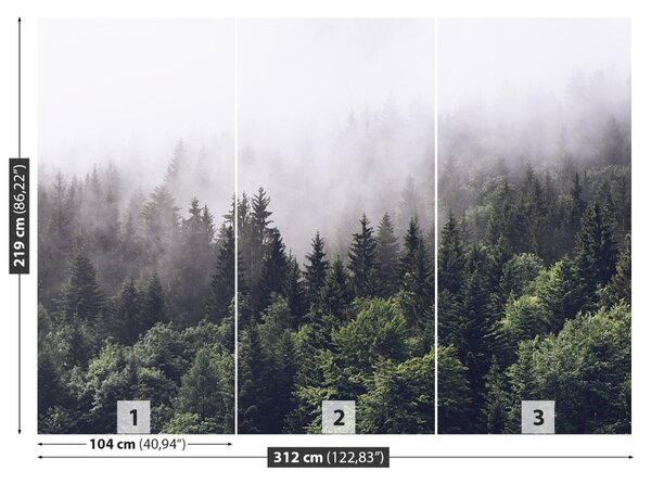 Fototapeta Horský les 104x70