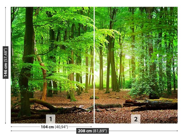 Fototapeta Jarní les 104x70