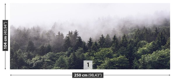 Fototapeta Horský les 104x70