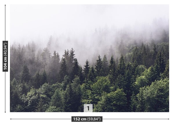 Fototapeta Horský les 104x70