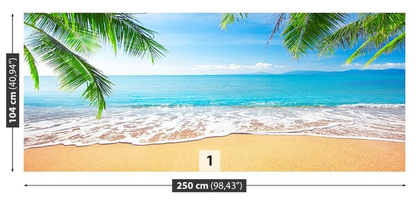 Fototapeta Palma a pláž 104x70