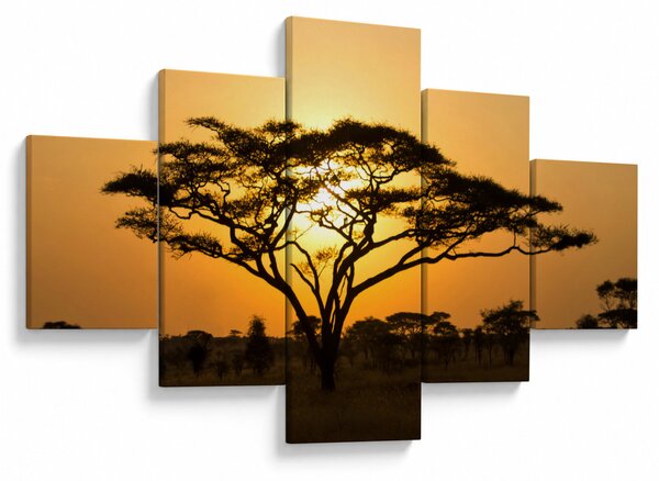Obraz - Africká savana (125x70 cm)