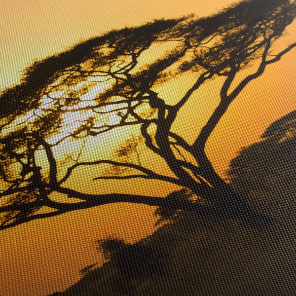 Obraz - Africká savana (70x50 cm)