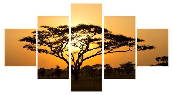 Obraz - Africká savana (125x70 cm)