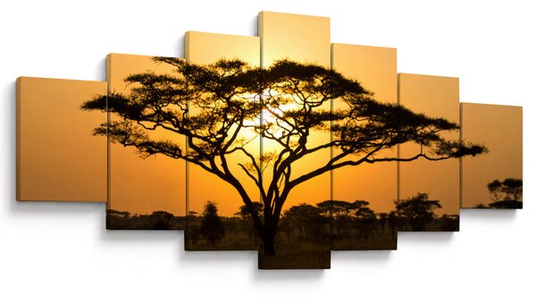 Obraz - Africká savana (210x100 cm)