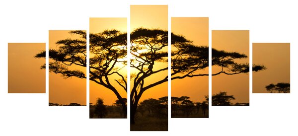 Obraz - Africká savana (210x100 cm)