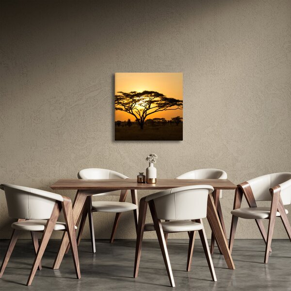Obraz - Africká savana (30x30 cm)