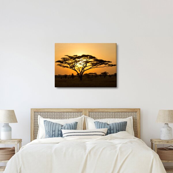 Obraz - Africká savana (70x50 cm)