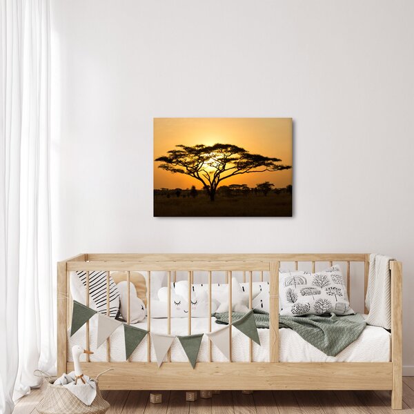 Obraz - Africká savana (70x50 cm)