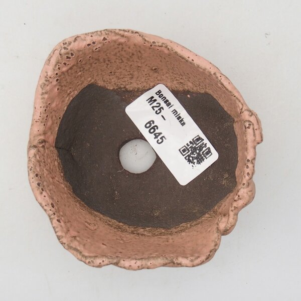 E-bonsai Keramická Skořápka 9 x 8 x 4 cm růžová