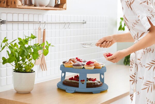 PŘENOSNÝ BOX NA MOUČNÍKY, 35,5/34,5/26 cm Rotho - Podnosy & poklopy na dort