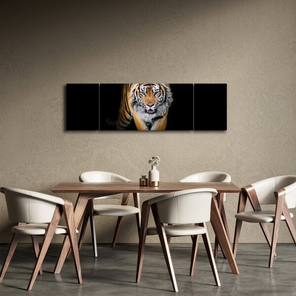 Obraz - Tygr (170x50 cm)