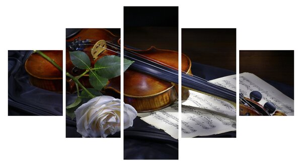 Obraz - Růže a housle (125x70 cm)