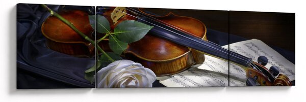 Obraz - Růže a housle (170x50 cm)