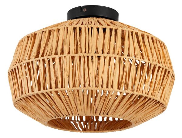 Eglo 44142 - Stropní svítidlo SHELDON 1xE27/40W/230V hnědá
