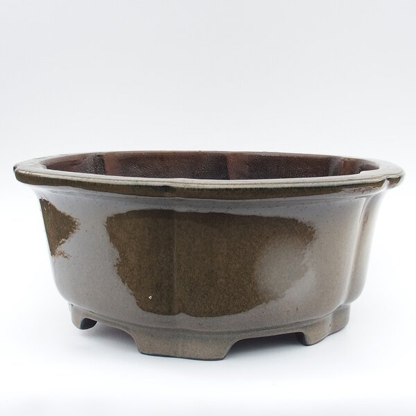 E-bonsai Miska 51 x 21 cm barva šedá