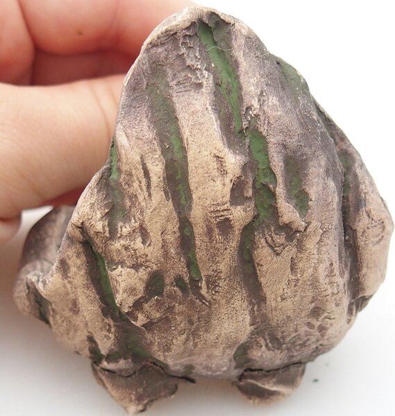 E-bonsai Keramická Skořápka 6,5 x 6,5 x 8 cm zelená