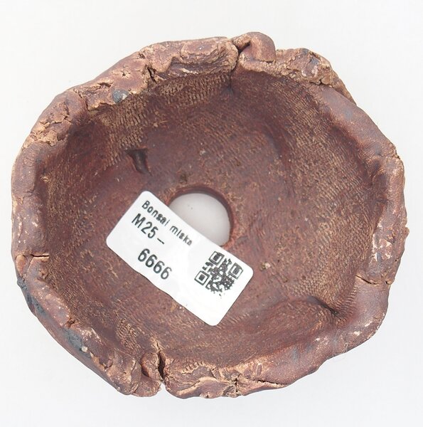 E-bonsai Keramická Skořápka 9 x 8,5 x 6 cm hnědá