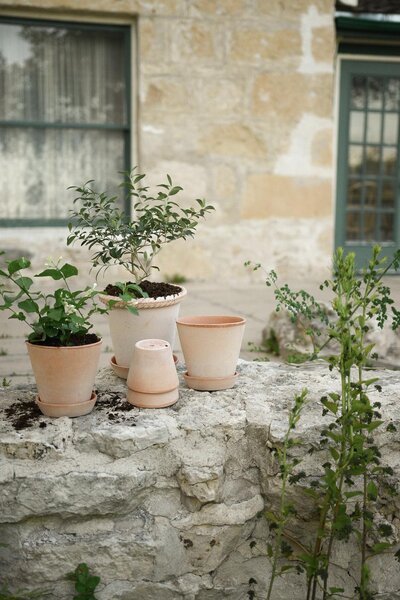 Bergs Potter Terakotový květináč Emilia Rosa - 16 cm BP102