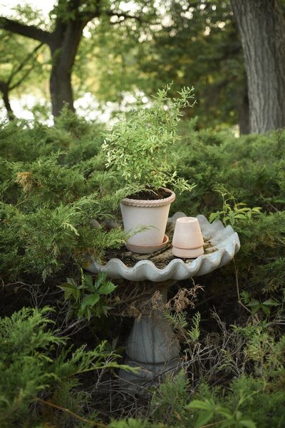 Bergs Potter Terakotový květináč Emilia Rosa - 16 cm BP102