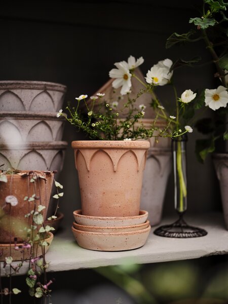 Bergs Potter Terakotový květináč Elizabeth Rosa - 14 cm BP104