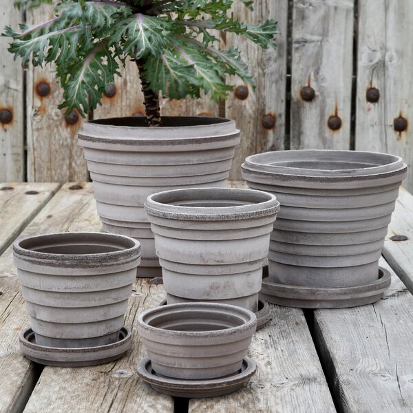 Bergs Potter Terakotový květináč Planet Grey - 12 cm BP105