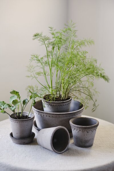 Bergs Potter Terakotový květináč Copenhagen Grey - 10 cm BP147