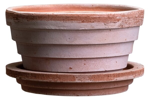 Bergs Potter Terakotový květináč Planet Rosa - 12 cm BP106