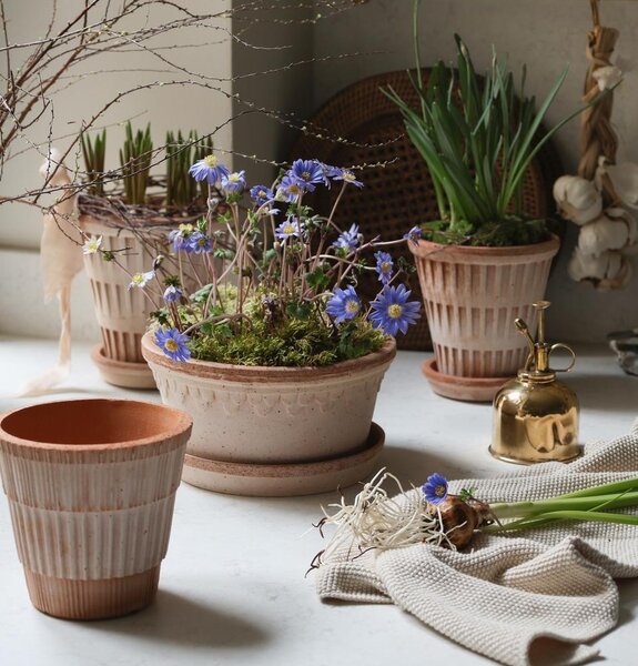 Bergs Potter Terakotový květináč Copenhagen Rosa - 21 cm BP108