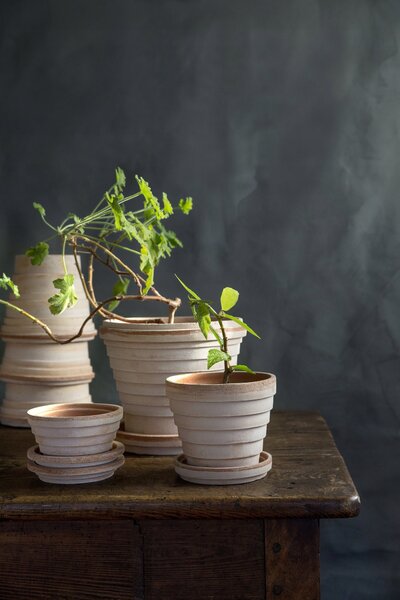 Bergs Potter Terakotový květináč Planet Rosa - 12 cm BP106