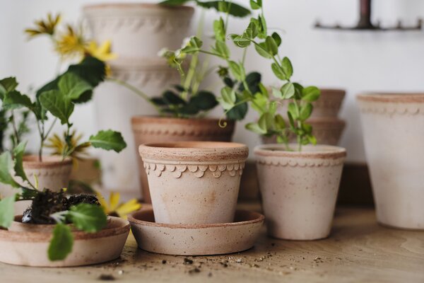 Bergs Potter Terakotový květináč Copenhagen Rosa - 10 cm BP148