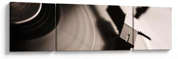 Obraz - Gramofonová deska (170x50 cm)