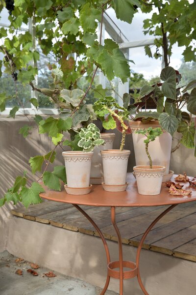 Bergs Potter Terakotový květináč Copenhagen Tall Rosa - 10 cm BP114