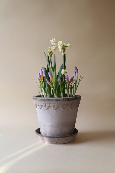 Bergs Potter Terakotový květináč Copenhagen Grey - 10 cm BP147
