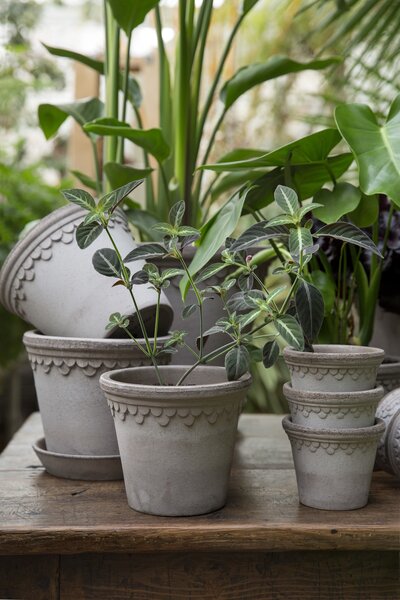 Bergs Potter Sada terakotových květináčů Copenhagen Grey 10 cm - 3 ks BP145