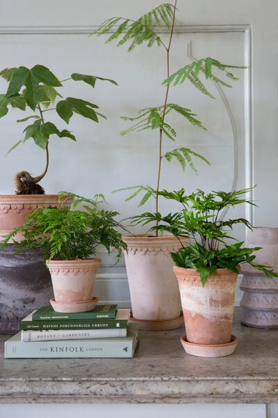 Bergs Potter Terakotový květináč Copenhagen Tall Rosa - 10 cm BP114