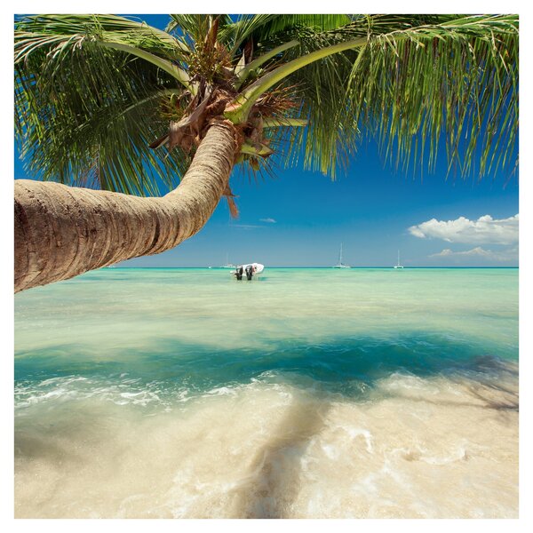 Obraz - Čisté moře s palmou (30x30 cm)