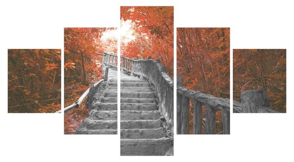 Obraz - Schody v přírodě, oranžová (125x70 cm)