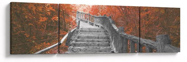 Obraz - Schody v přírodě, oranžová (170x50 cm)