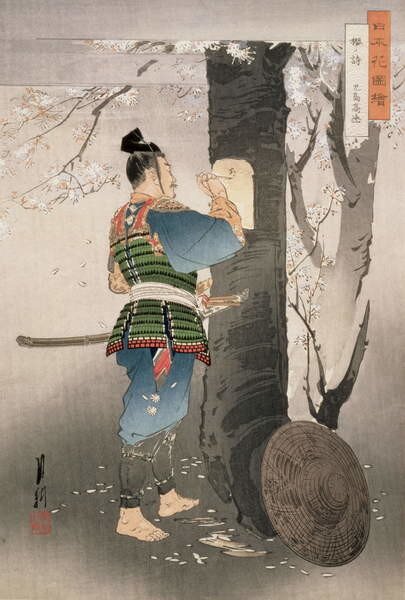 Ogata Gekko - Obrazová reprodukce Kojima Takanori Writing a Poem on a Cherry Tree,, (26.7 x 40 cm)
