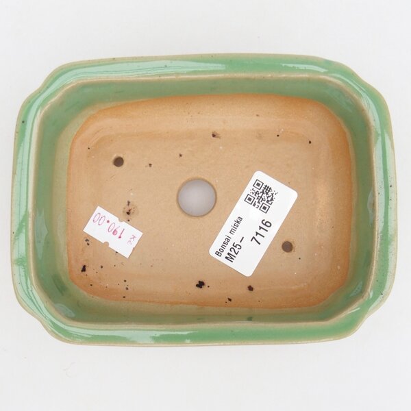 E-bonsai Keramická bonsai miska 14 x 11 x 4 cm zelená