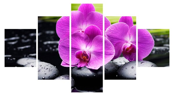 Obraz - Orchideje (125x70 cm)